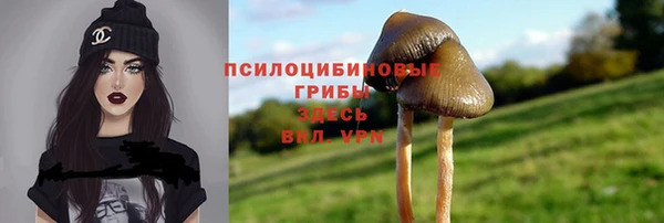 гашишное масло Магас