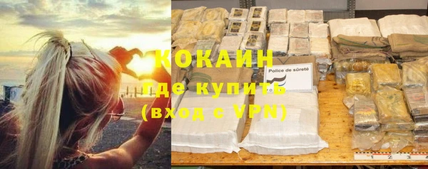 ПСИЛОЦИБИНОВЫЕ ГРИБЫ Горнозаводск