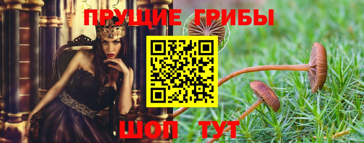 Галлюциногенные грибы GOLDEN TEACHER Новотроицк