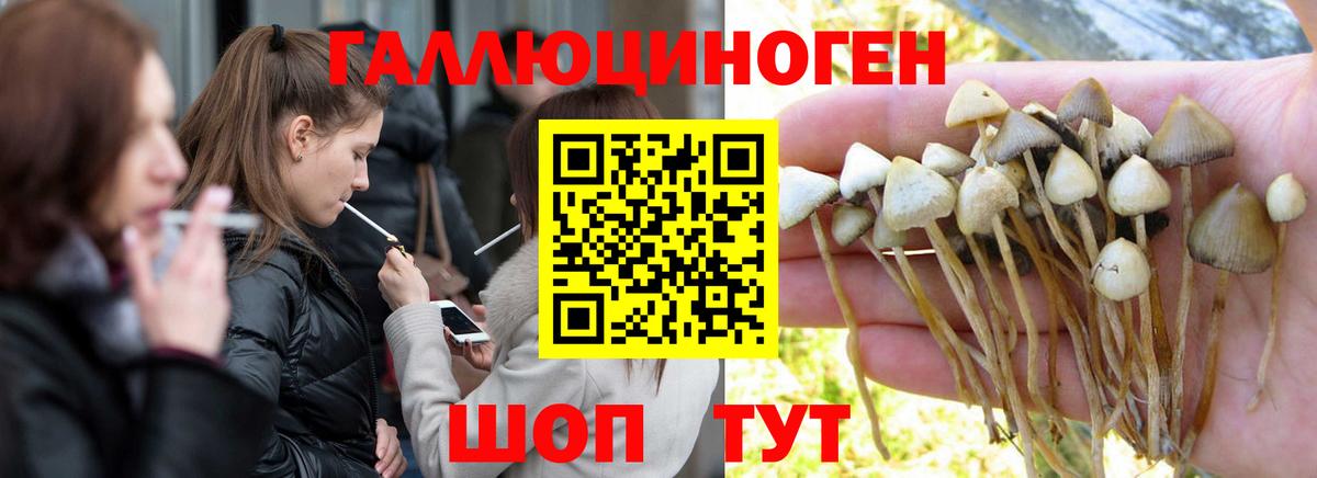 Галлюциногенные грибы Psilocybine cubensis  Псилоцибиновые грибы MAGIC MUSHROOMS  Вход с VPN  Новотроицк 